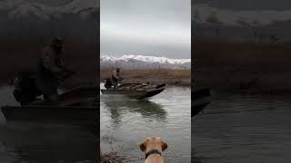 2025 Excel Eclipse | 40 HDR MudBuddy #boat #boating #build #fishing #mudmotor