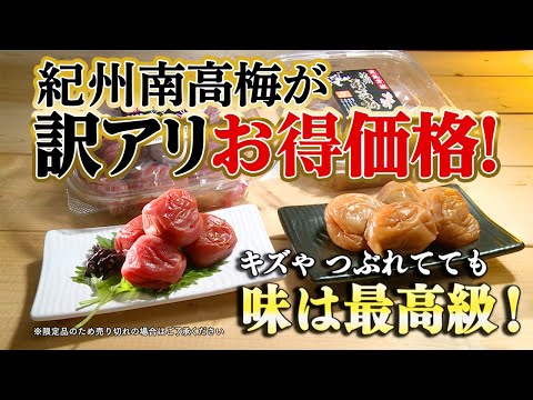 Official Nihon Chokuhan Channel] No.1 in repeat purchases! Kishu