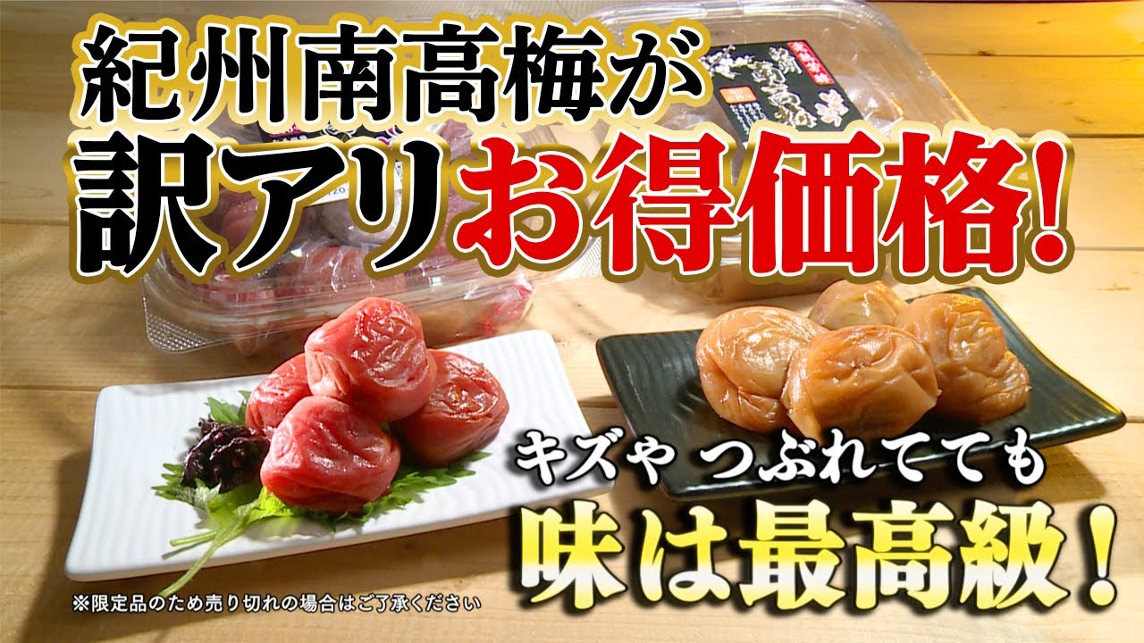 くうちゃん　中熟〜完熟 Official Nihon Chokuhan Channel] No.1 in repeat purchases! Kishu