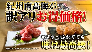 Official Nihon Chokuhan Channel] No.1 in repeat purchases! Kishu
