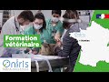 Oniris forme des futurs docteurs vtrinaires