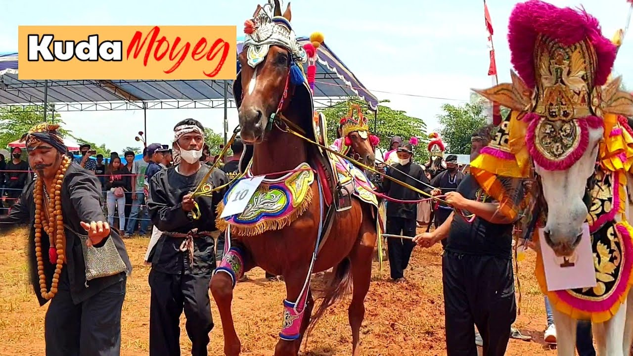 KUDA RENGGONG | INTRODUCTION OF KUDA MOYEG | Mjk