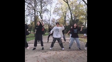 Thumbnail of Lay Zhang (张艺兴) | Veil Dance Challenge #shorts