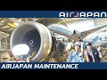 AirJapan Aircraft Maintenance: Behind the Scenes!