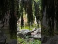 Природа. Украина. Осень 2024