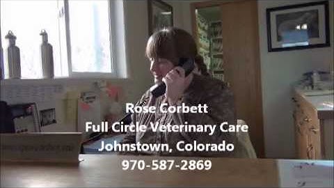 Thumbnail of Rose Corbett, Veterinary Receptionist at Full Circle Veterinary Care