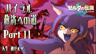 【ティアキン】ハイラル救済への道 Part.11【ケモノV】