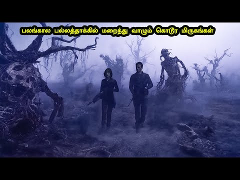 பலங்கால பல்லத்தாக்கில் மறைந்து வாழும் கொடூர மிருகங்கள் || Jr JUst Rasigan || Mr Tamilan