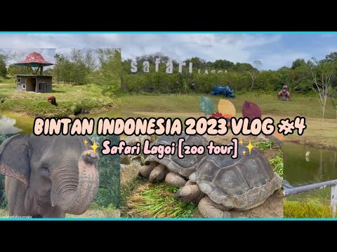 Bintan Vlog #4: Safari Lagoi Bintan Indonesia [zoo tour] 🫶