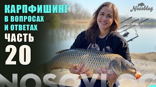 видео: Карпфишинг в вопросах и ответах, А  Колесников, выпуск 20 картинка: Карпфишинг в вопросах и ответах, А  Колесников, выпуск 20
