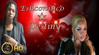 Destiny & Eshconinco - Part Time Lover [Official Lyric Video HD]