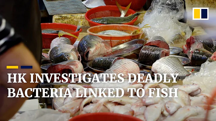 Hong Kong health authorities warn of bacteria risk after dozens of cases tied to freshwater fish - DayDayNews