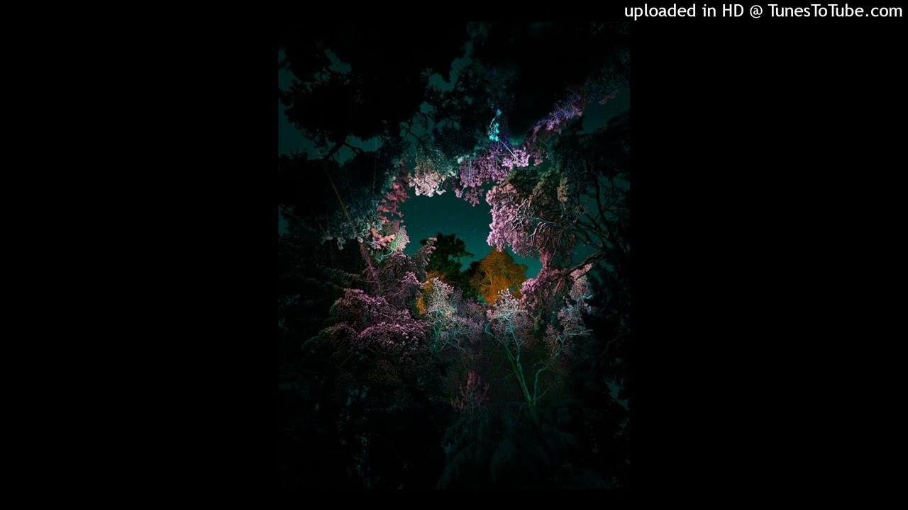 [FREE] guunr x ambient type beat 