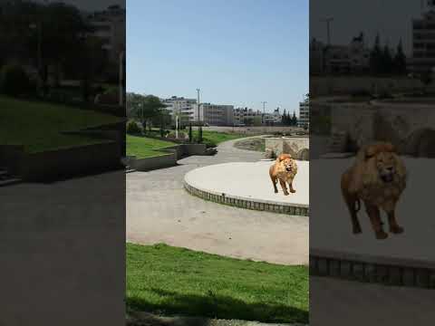 الاسد يتوسط مسرح المدرج الروماني في منتزة جمال عبد الناصر نابلس