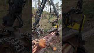John Deere 1270G Harvester Processing Big Tree In The Forest #Johndeere #Harvester #Viral #Tree
