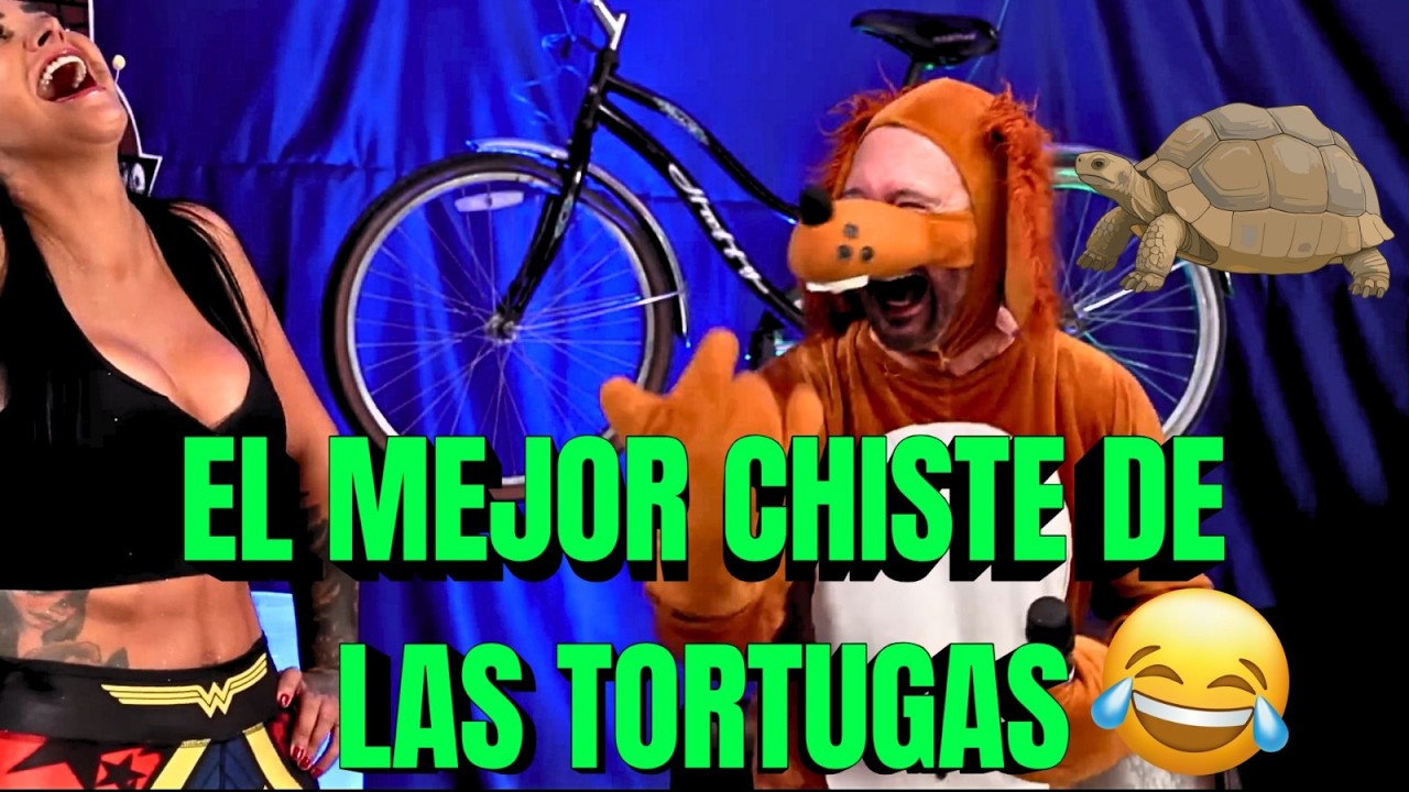 EL MEJOR CHISTE DE LAS TORTUGAS 😂😂