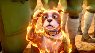 True Story!! The Stray Dog Became a Soldier - Movie