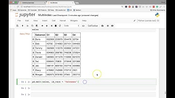 [15] MultiIndex - The pd melt Method