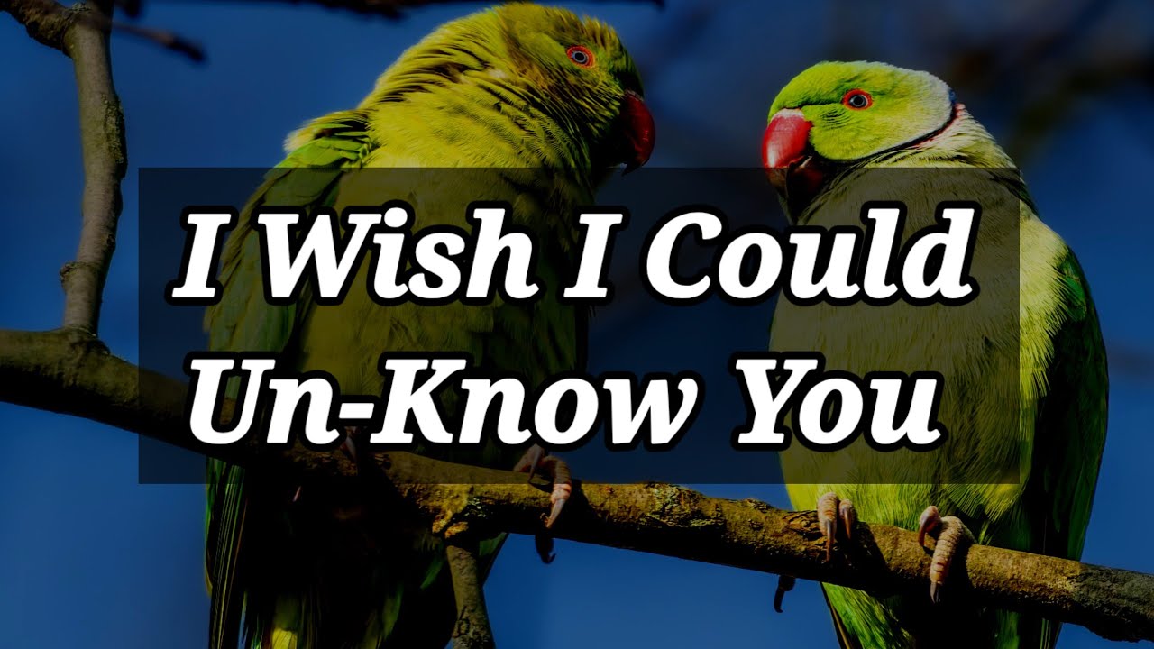 DM to DF Love messages for her 🥰💌|| I wish I could unknown you ...