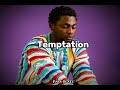 Afrobeat Instrumental | Omah Lay X Ruger X Ayo Maff  X Rema X BNXN “TEMPTATION “ Type beat