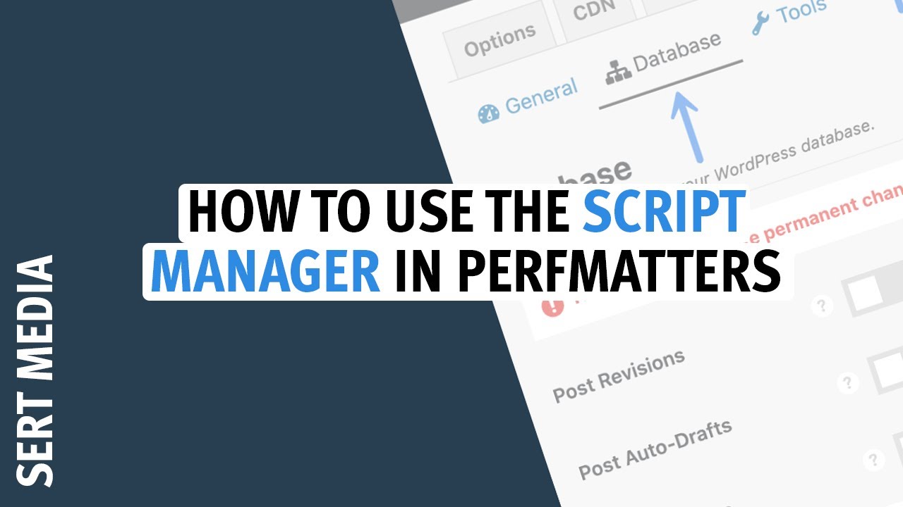 Update Script Manager Tutorial 2020 - How To Cleanup WordPress Plugin Assets Using Perfmatters Plugin