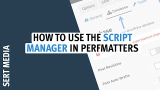 Script Manager Tutorial 2020  How To Cleanup WordPress Plugin Assets Using Perfmatters Plugin