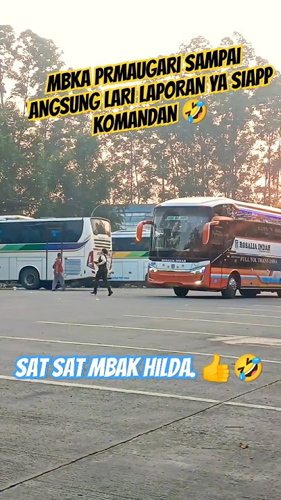 LANGSUNG LARI LAPORAN PRAMUGARINYA CANTIK ROSIN ‼️  #rosaliaindah #storywa  #busmania #PRAMUGARI