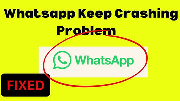 Whatsapp Keep Crashing Problem In Android  Ios