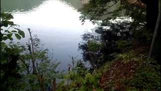 Water waves and Bird Singing at at Serene lakeside screenshot 4