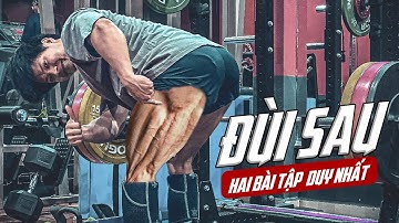 Seri thứ 3 kĩ thuật - COMBO 3 bài ĐÙI SAU tại nhà chuẩn như Gym cho Nam và Nữ | SmallGym