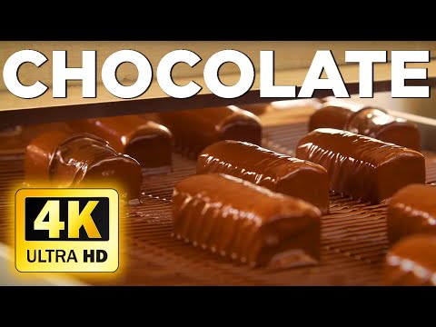 Chocolate - 4K Relaxation Film | Chocolate Factory - Sweet Production Lines