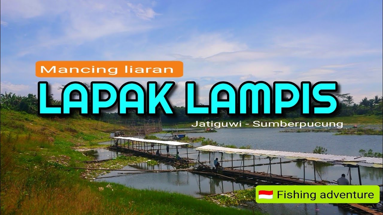 Lapak lampis pak PARDI bonklopo Sumberpucung /  mancing liaran lapak lampis @hasandolentok5671