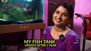 My Fish Tank set up after 1 Year #howhemapets #fish