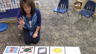 C.h.o.i.c.e. Five Little Erflies