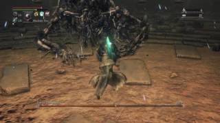 Bloodborne - Loran Darkbeast (Cursed) vs. Holy Moonlight Sword