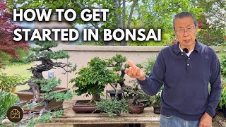 What You Need to Start Doing Bonsai | Q&A by Bonsai Heirloom 4,897 views 12 days ago 11 minutes, 33 seconds