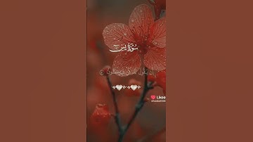 #تلاوات_خاشعة #القران #اكسبلور #المصحف #دويتو #الرحمن #لايك #الظروف #القران