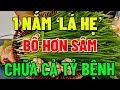 Chỉ 1 NẮM LÁ HẸ Dùng Theo Cách Này TỐT GẤP VẠN LẦN NHÂN SÂM, SỐNG RẤT THỌ, Về Già Phải Biết