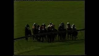 1987 Westley Maiden Stakes (Division I)