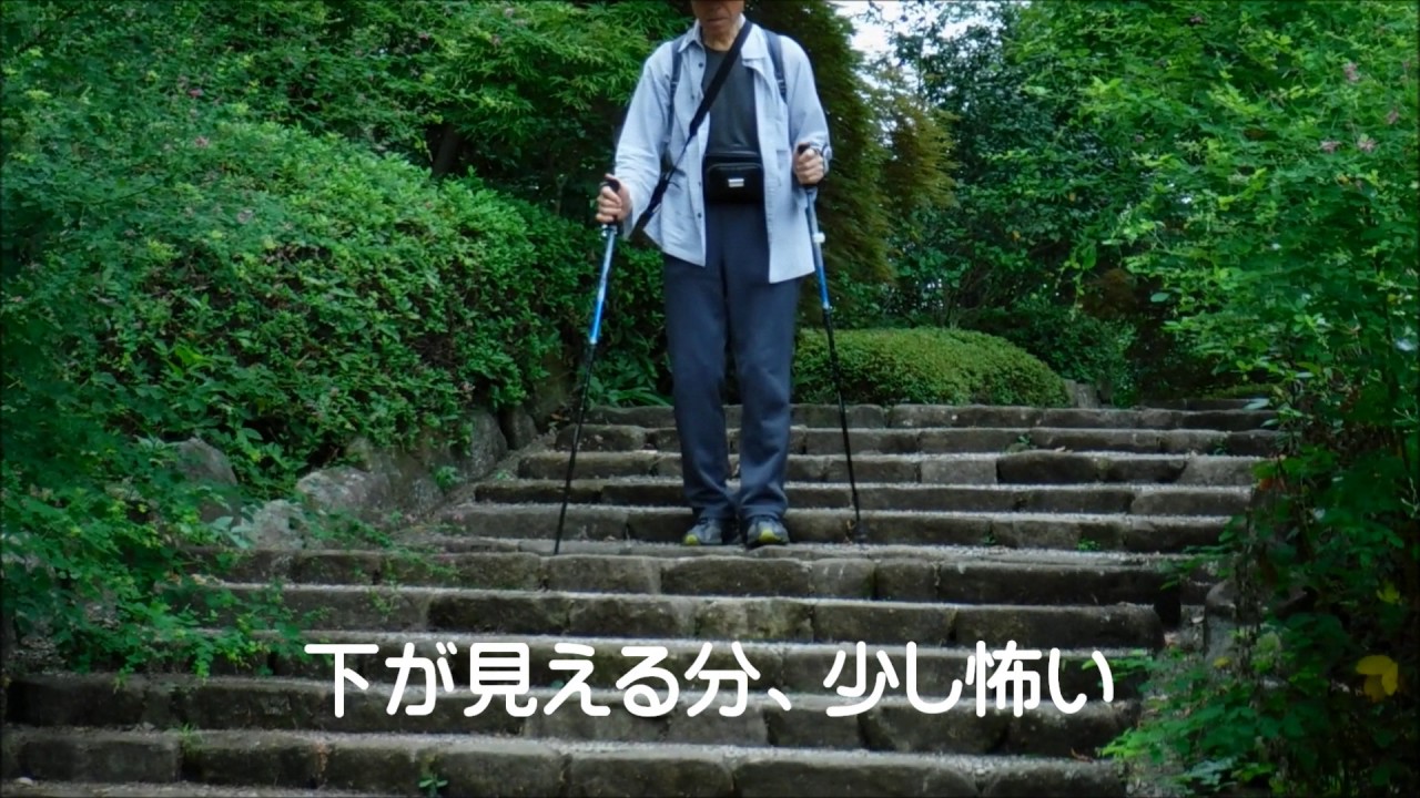 階段の昇り降り Youtube