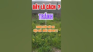 Đất Dầu Tiếng I Đây là cách tránh tranh chấp đất đai hiệu quả nhất #kimbds