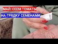 ТОМАТЫ В МАЕ - ПОСЕВ БЕЗ РАССАДЫ И ПИКИРОВКИ СРАЗУ В ГРУНТ СУХИМИ СЕМЕНАМИ