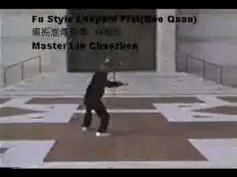 Fu style Pao Chun GM Lin chaozhen