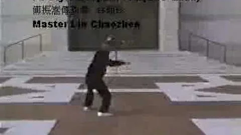Fu style Pao Chun GM Lin chaozhen