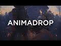 Animadrop  through the storm