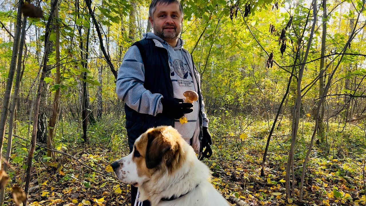 БЕЛОРУССКИЙ НЕТИПИЧНЫЙ ХУТОР ОБЗАВЕЛСЯ НОВЫМИ ЖИВОТНЫМИ. ПРИВЕЗЛИ КОЗУ ...