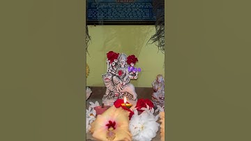 #music #song #love #lofibhajan #mataranimashup