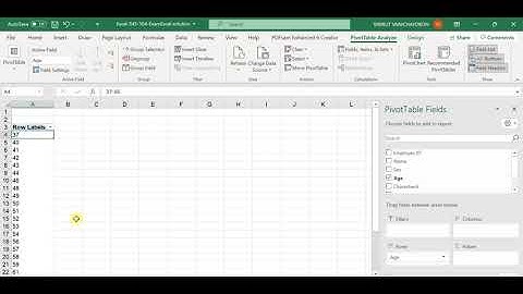 Group Age in Pivot Table