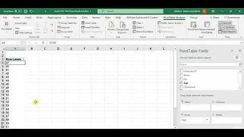 Group Age in Pivot Table