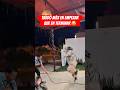 Pero saltó 🤣 #viral #humor #jump #funnyvideos #comedia #abuela #fyp